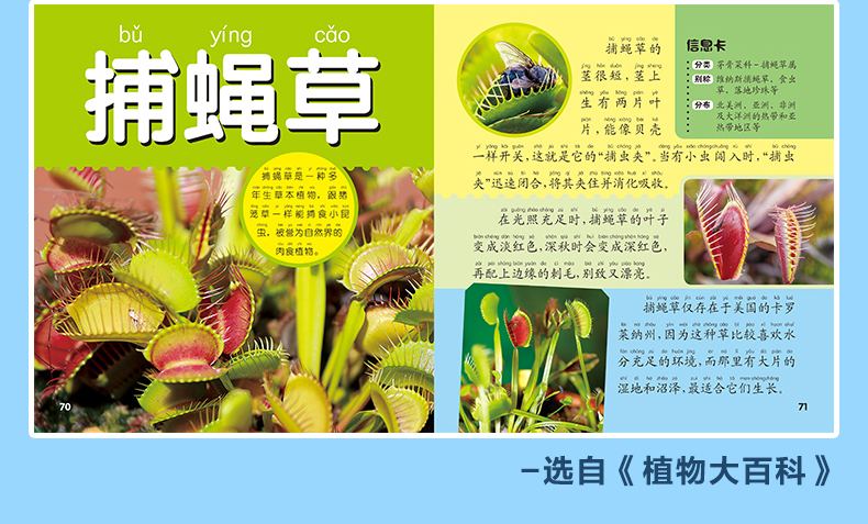 多彩童年我爱读系列 动物+植物+太空+舰船大百科 全4册 全彩注音版 儿童科普百科全书