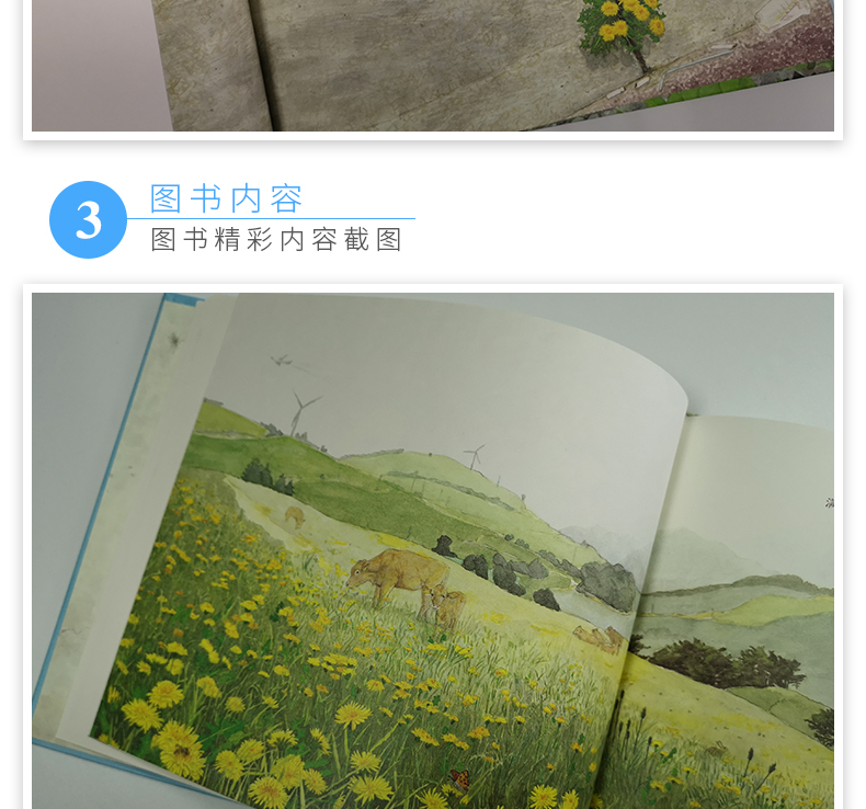麦田精选图画书：蒲公英就是蒲公英 儿童绘本故事书