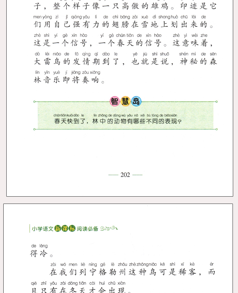 完整版合订本 森林报注音版春夏秋冬正版老师推荐三四年级课外书必读语文7-8-9-12周岁阅读