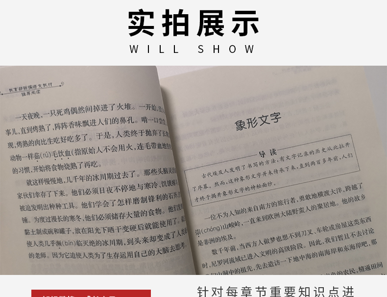 人类的故事 新编语文教材推荐阅读 曹文轩倾情推荐 世界名著 儿童文学 中小学生课外阅读书目