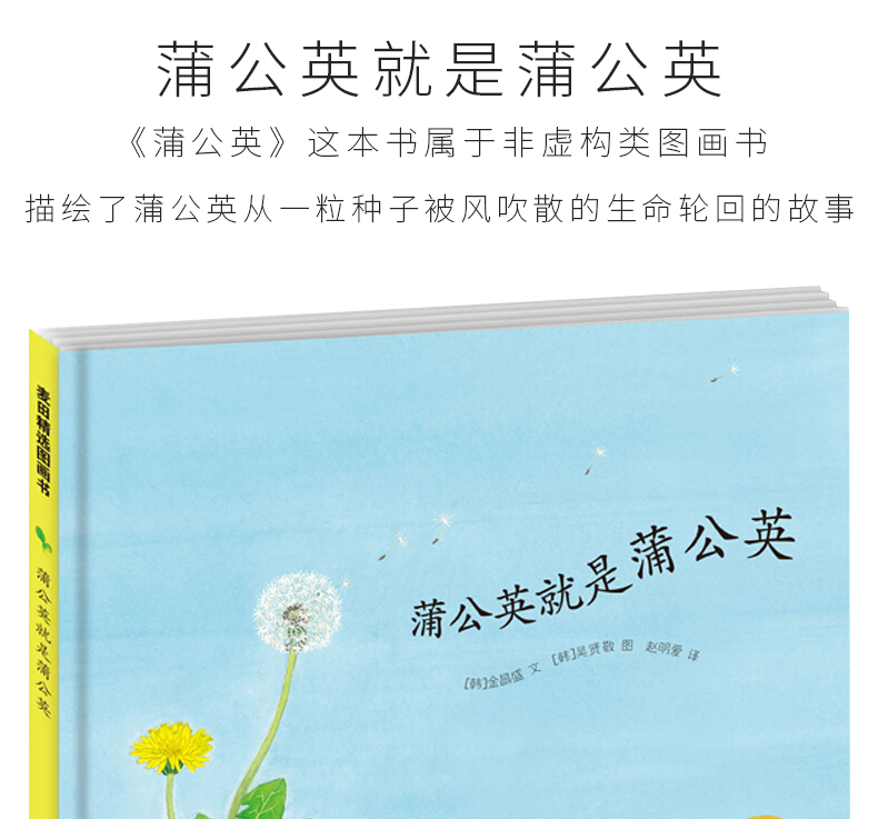 麦田精选图画书：蒲公英就是蒲公英 儿童绘本故事书