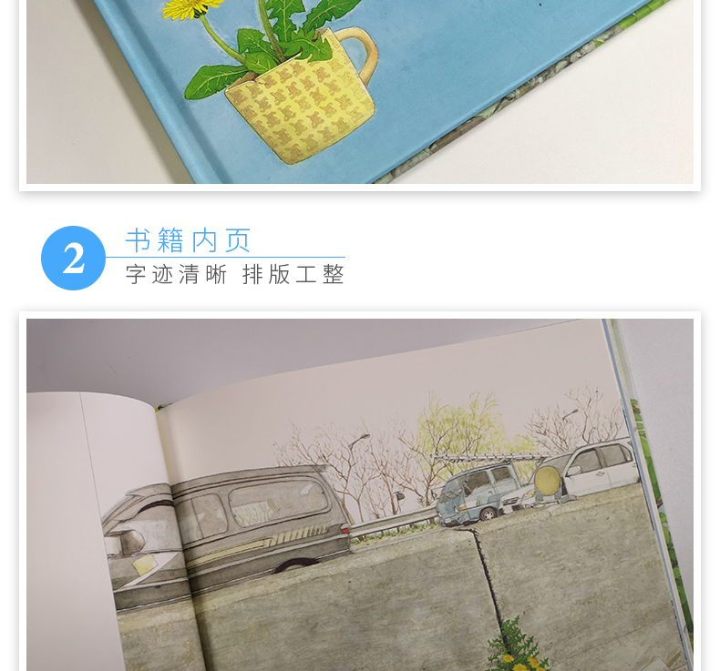麦田精选图画书：蒲公英就是蒲公英 儿童绘本故事书