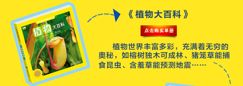 多彩童年我爱读系列 动物+植物+太空+舰船大百科 全4册 全彩注音版 儿童科普百科全书