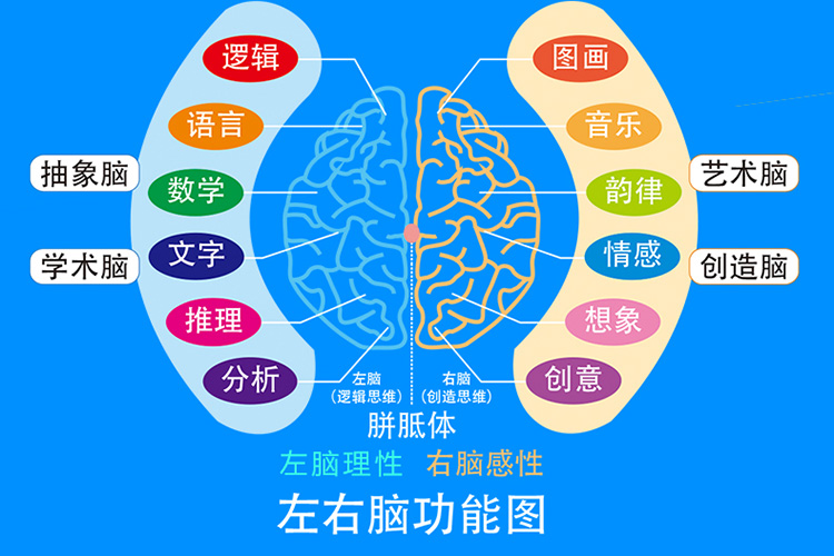 左右脑智力开发500题  [3-4岁]