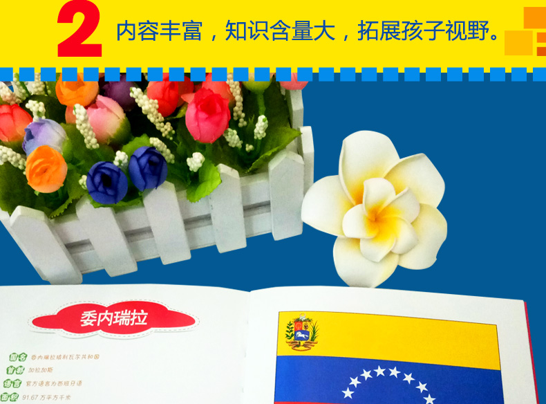 晨风童书 少儿科普馆 国旗小百科 注音版幼儿启蒙认知读物故事绘本科普百科全书3-6-8-10岁宝宝