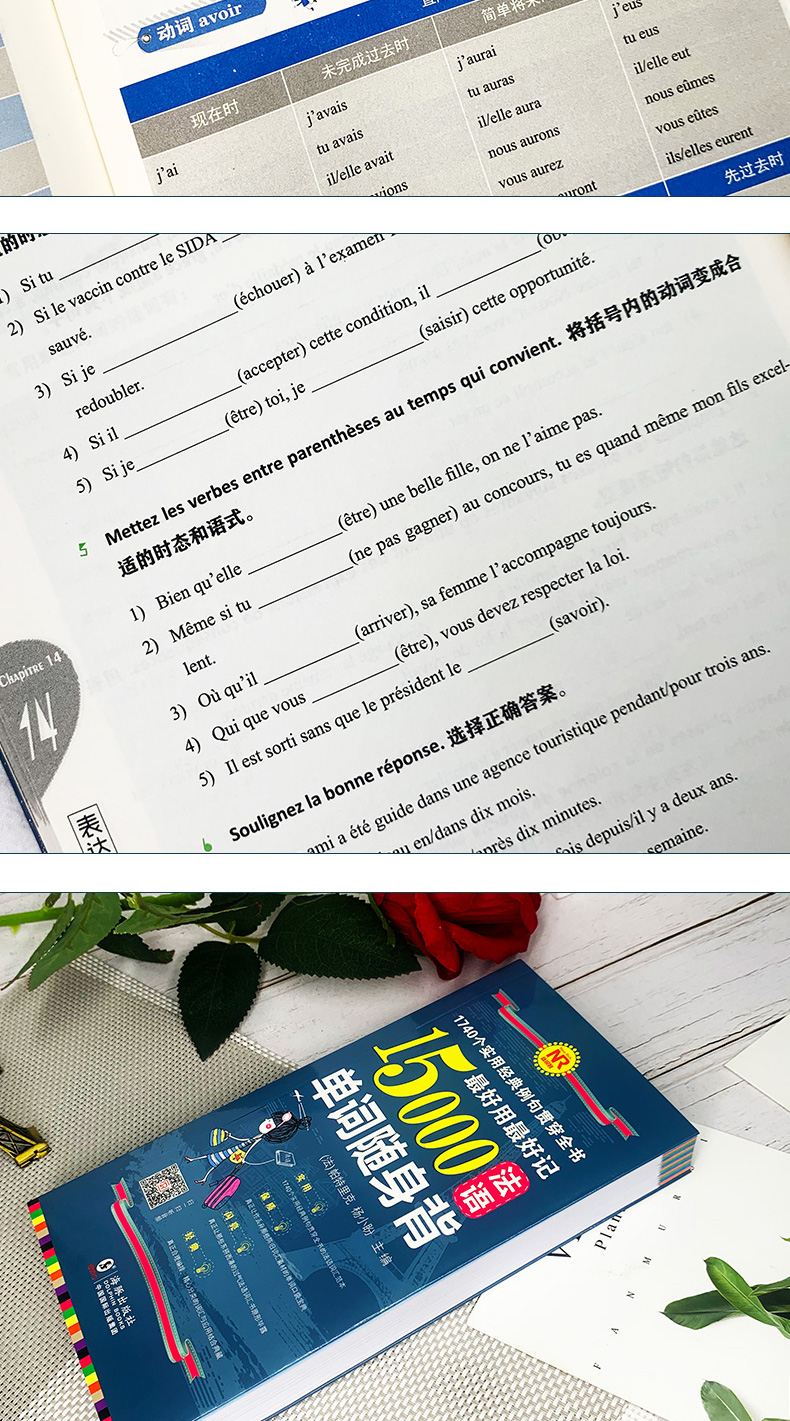 【全3册 同步音频】法语入门 自学 零基础 法语语法点点通800题 法语单词分类速记  法语书籍 入门自学 法语自学入门教材 零基础