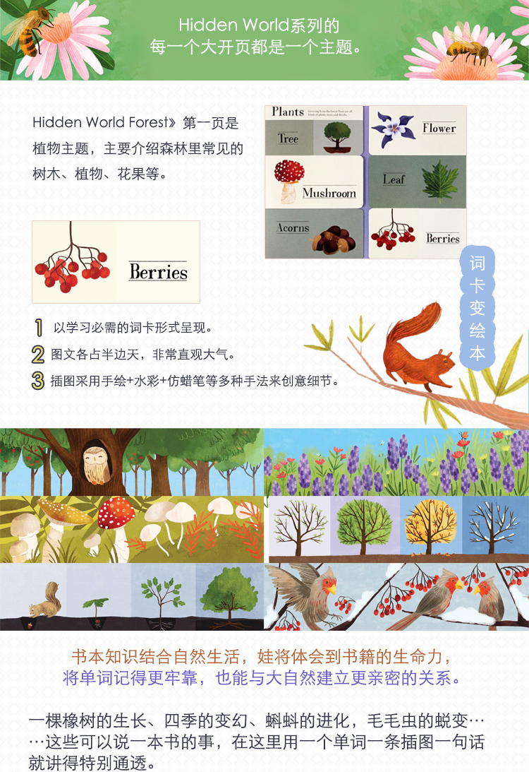 【原版精装2册】亲子互动翻翻书儿童科普百科隐藏的世界Hidden World Set儿童宝宝启蒙科谱认知书儿童百科翻翻书 BQ儿童读物原版书
