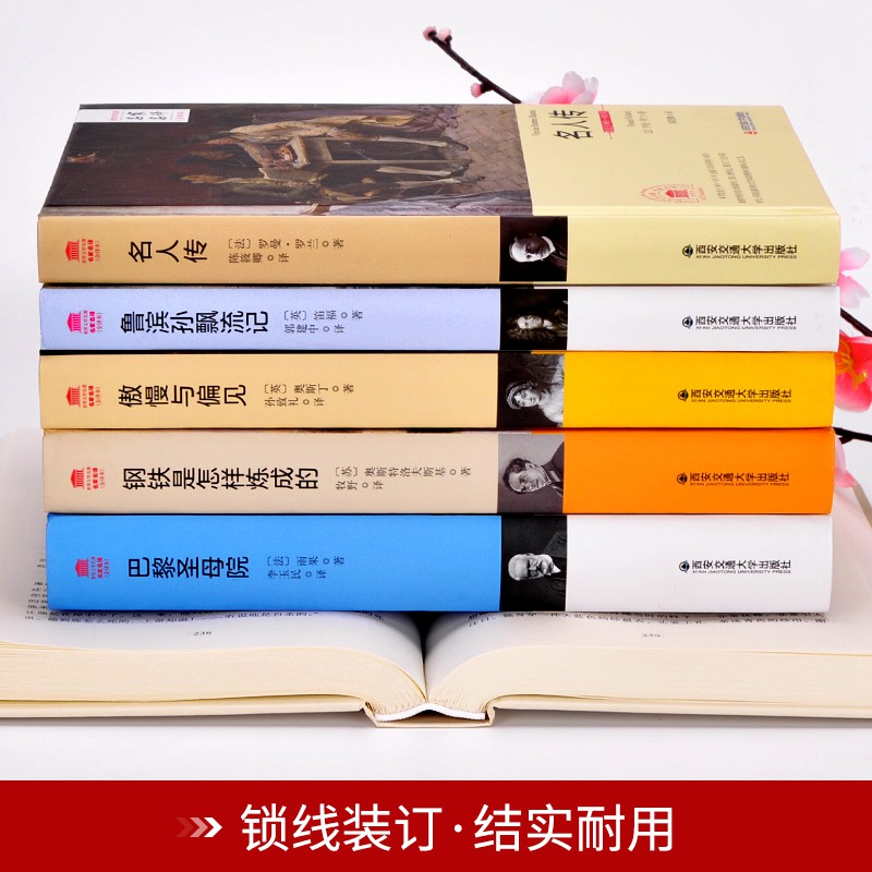 世界十大名著10册正小王子童年汤姆索亚历险记简爱名人传格列佛游记傲慢与偏见鲁滨逊漂流记钢铁是怎样炼成的巴黎圣母院外国文学