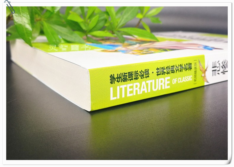 正版悲惨世界 文学小学生课外阅读物