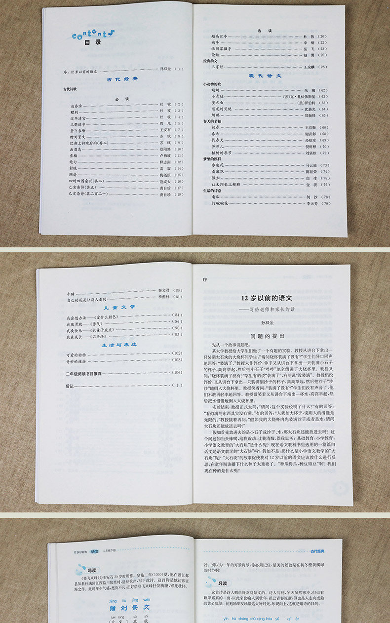 二年级下册12岁以前的语文 孙双金主编 南京大学出版社 十二岁以前的语文2年级下册 小学生教辅 国学诗歌儿童经典文学 新华正版