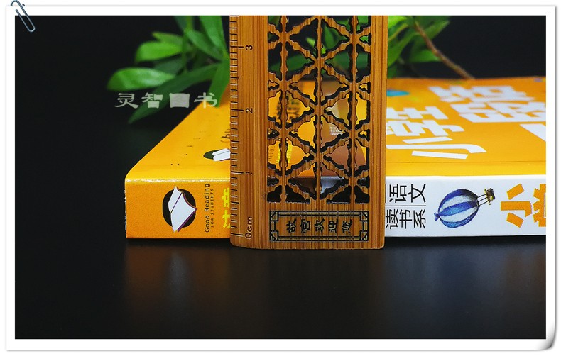 【选】小学生一段话作文 注音版名校班主任推荐作文入门 1-2-3一年级作文选辅导训练习素材图书三二年级课外读物