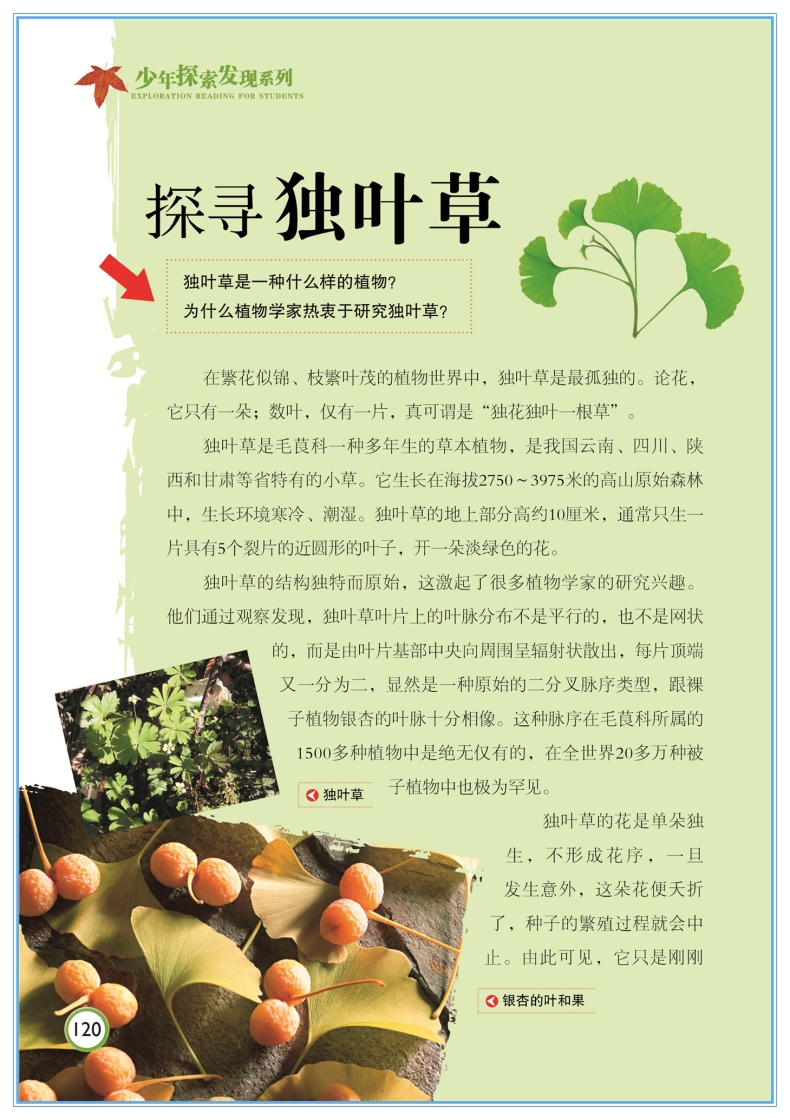 自然之谜