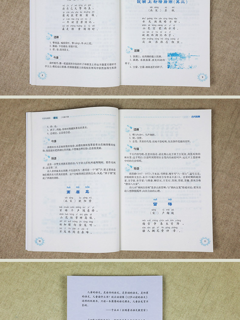 二年级下册12岁以前的语文 孙双金主编 南京大学出版社 十二岁以前的语文2年级下册 小学生教辅 国学诗歌儿童经典文学 新华正版