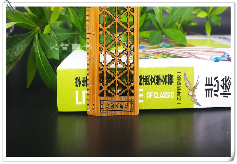 正版悲惨世界 文学小学生课外阅读物