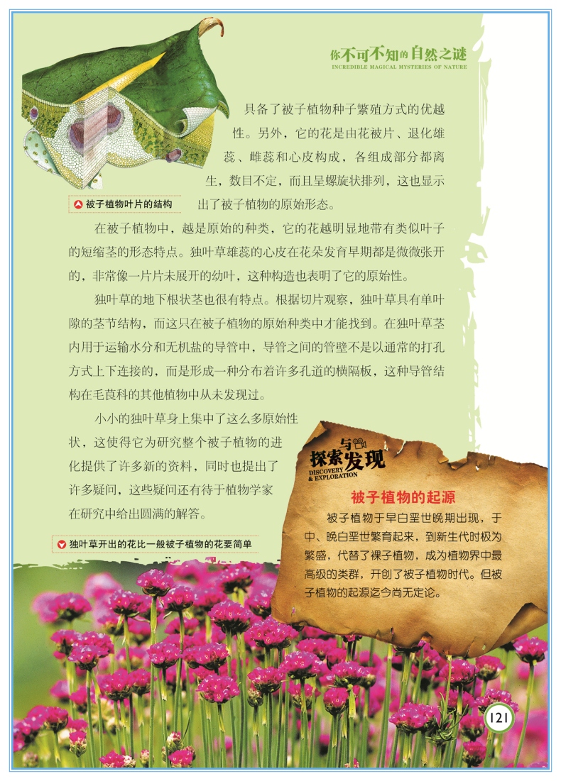 自然之谜