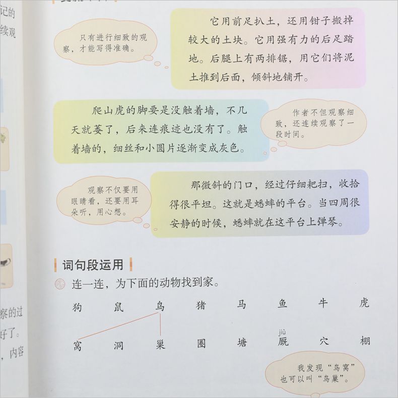 人教版 四年级上册 小学语文教材 义务教育教科书 4年级上册 小学语文课本/教材/学生用书 小学教材语文书 人教版教材 新华正版