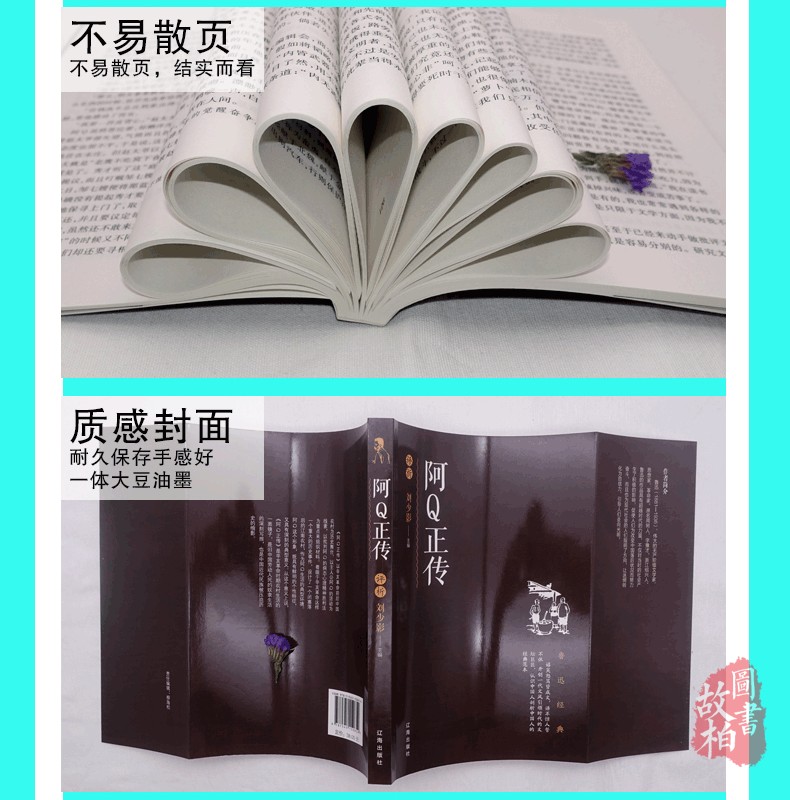 阿Q正传 鲁迅著 鲁迅文集代表作 阿q正传随感录 全集著名小说散文杂文 小学生中学生鲁迅文学作品集精选中国现代文学百家 正版包邮