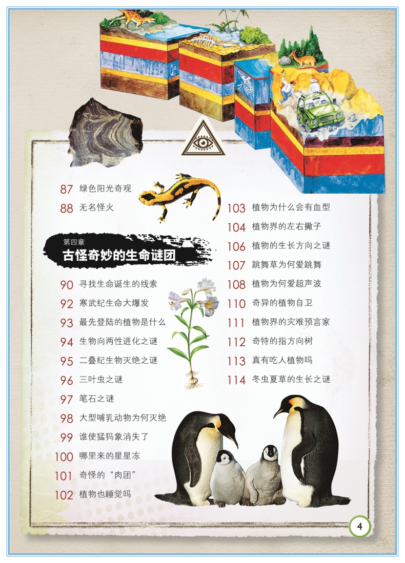 自然之谜