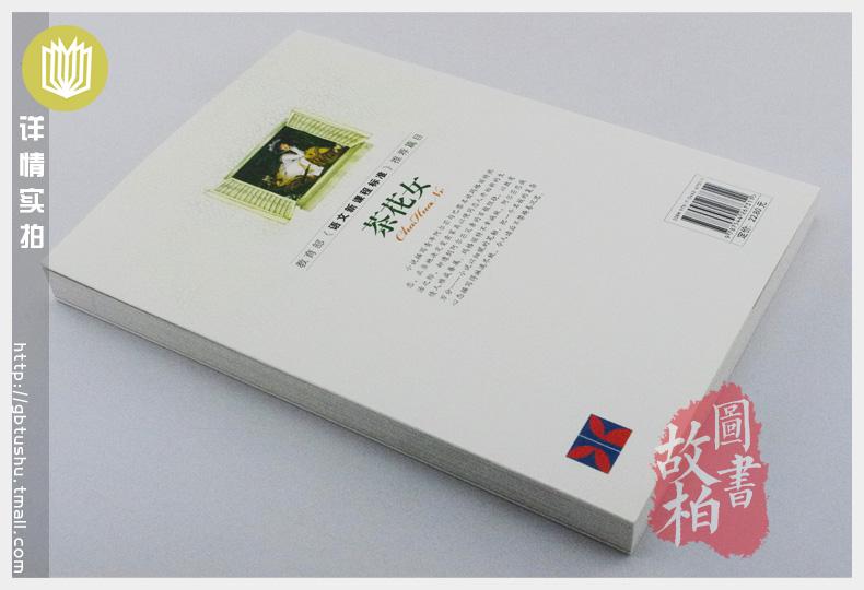 【选4本44元】正版包邮 茶花女 小仲马著 青少年版初高中生名著课外畅销书籍 小学生三四五七八六年级9-10-12-15周岁 世界文学阅读