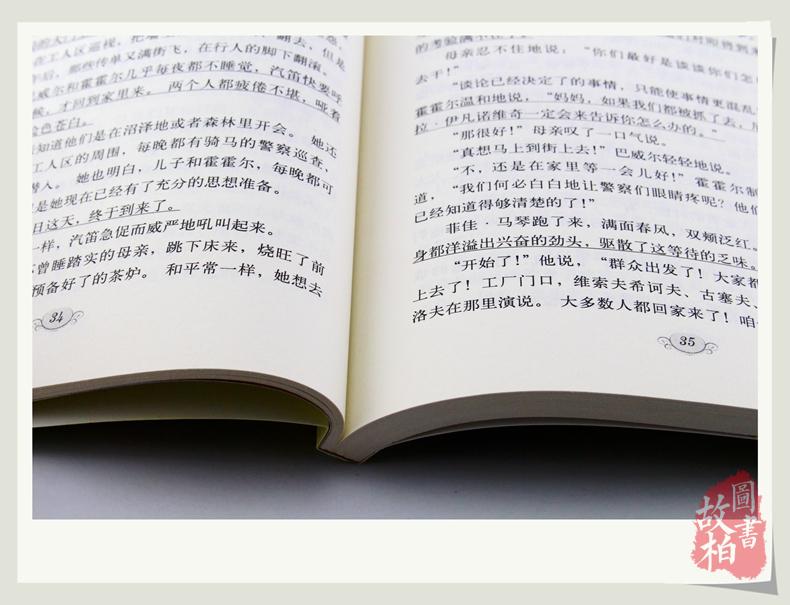 母亲 大悦读 语文新课标丛书 名师精解鉴赏 学生课外书 正版包邮