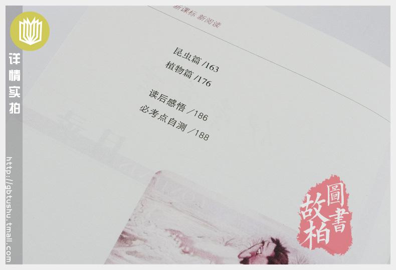 【选4本44元】正版包邮 伊索寓言 青少年版初高中生世界文学名著课外畅销书籍 小学生三四五七八六年级 全集精选 9-10-12-15周岁