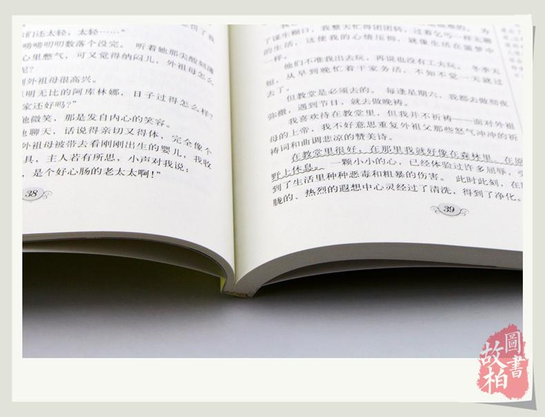 大悦读语文新课标丛书:在人间(升级版)四五六年级小学生课外物经典世界名著 青少年课外书籍 名师评点 批注 注解