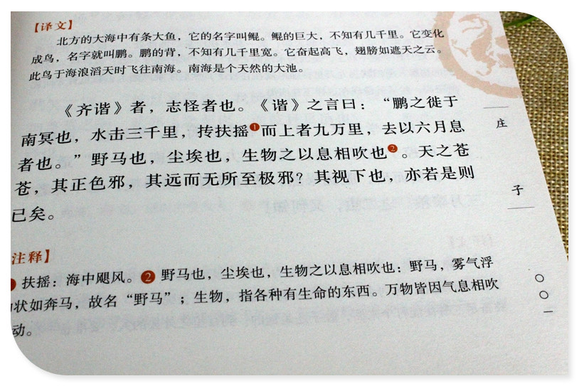 正版 庄子 译注与解析今注今译全书南华经逍遥游注疏集释选 中华国学经典 人生哲学 国学典藏 适合青少年阅读的国学