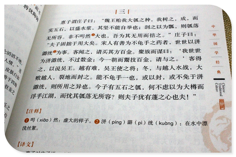 正版 庄子 译注与解析今注今译全书南华经逍遥游注疏集释选 中华国学经典 人生哲学 国学典藏 适合青少年阅读的国学
