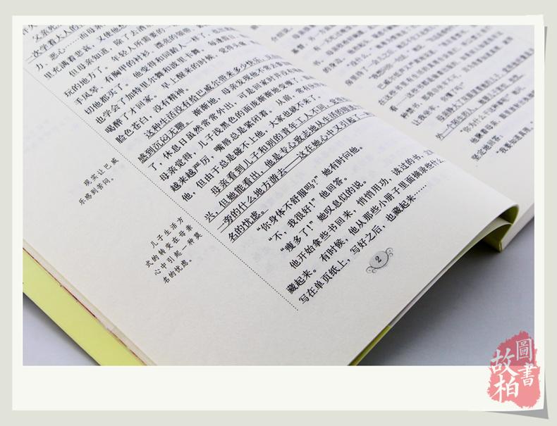 母亲 大悦读 语文新课标丛书 名师精解鉴赏 学生课外书 正版包邮