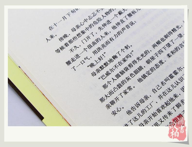 母亲 大悦读 语文新课标丛书 名师精解鉴赏 学生课外书 正版包邮