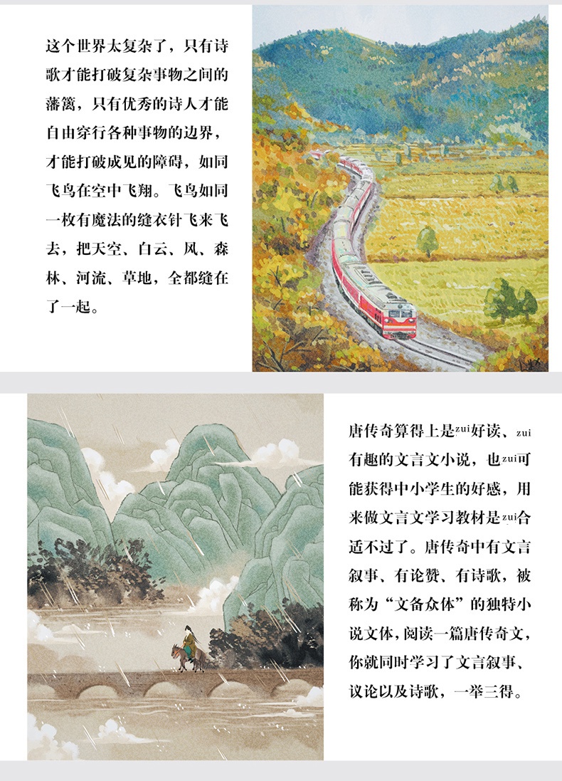 套装全4本 这才是我想要的语文书 叶开 诗歌唐传奇现代当代小说分册 12-15周岁中学生语文教辅书