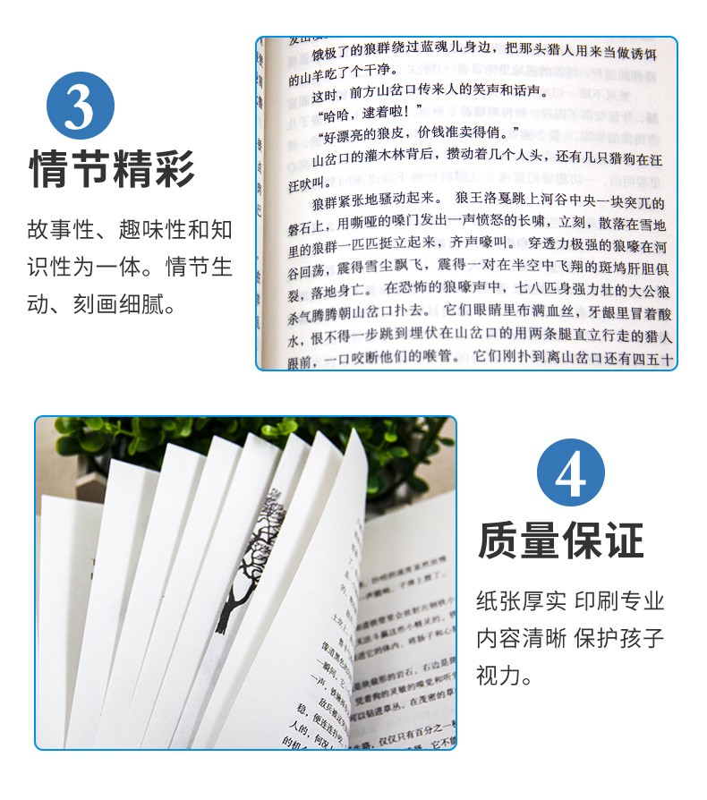 沈石溪动物小说全套8册狼王梦最后一头战象第七条猎狗老师推荐完整版无删减六年级必读课外书儿童文学书籍