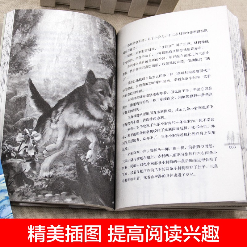 沈石溪动物小说全套8册狼王梦最后一头战象第七条猎狗老师推荐完整版无删减六年级必读课外书儿童文学书籍