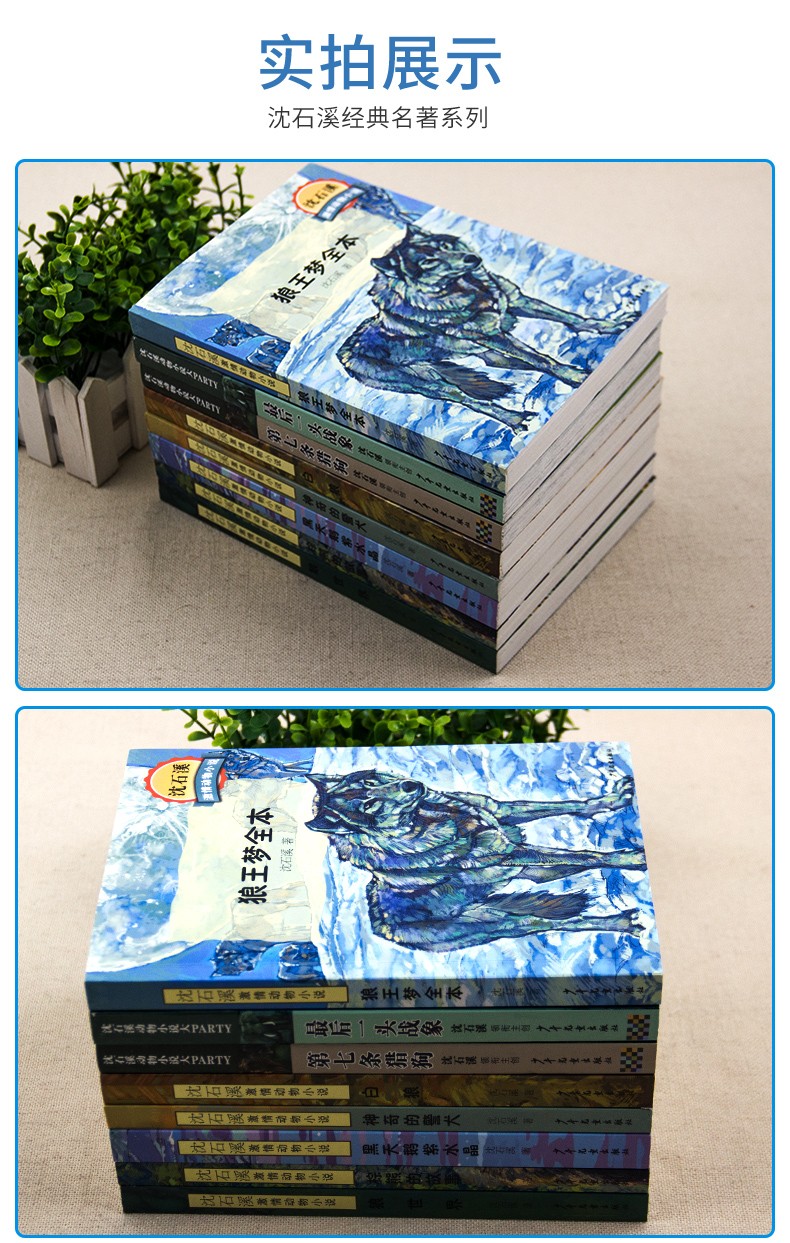 沈石溪动物小说全套8册狼王梦最后一头战象第七条猎狗老师推荐完整版无删减六年级必读课外书儿童文学书籍