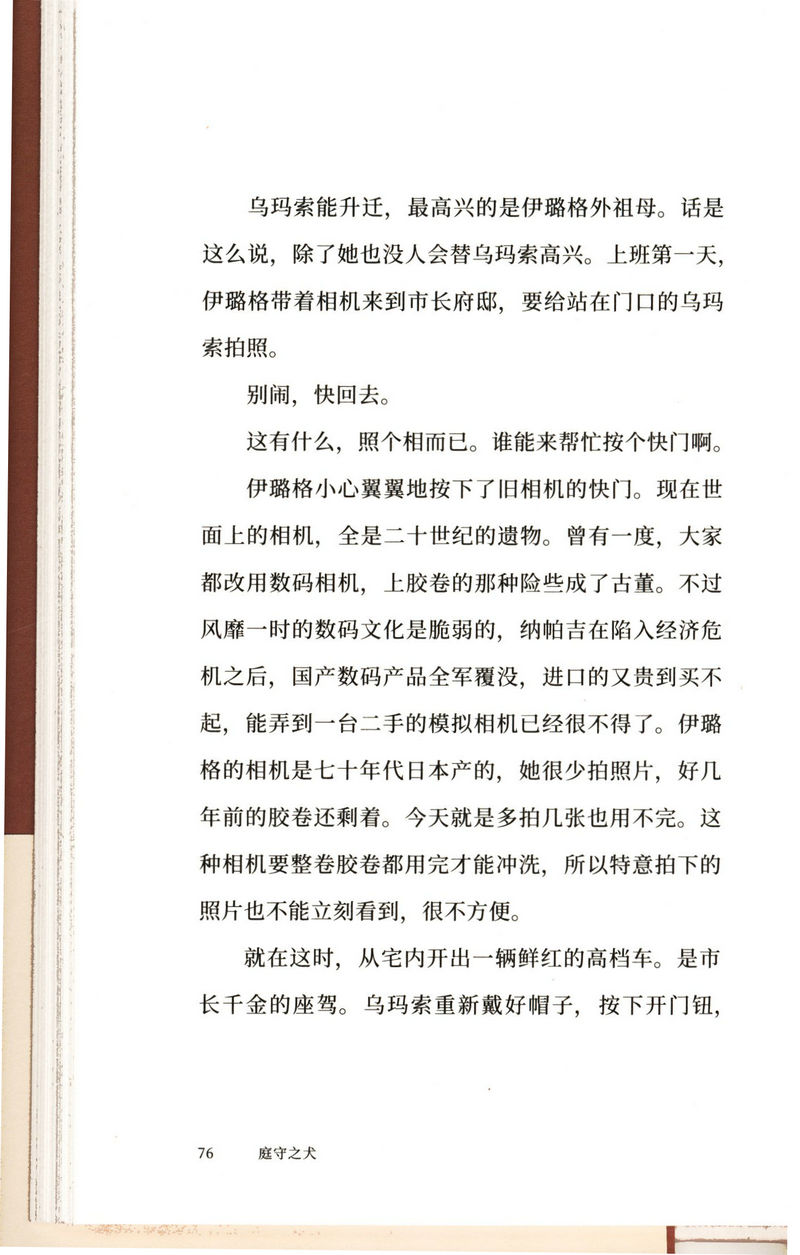 庭守之犬岩井俊二疑推理小说科幻 文学反清新 反纯爱的“岩井式”暗黑寓言 男性版玛格丽特阿特伍德作品使女的故事