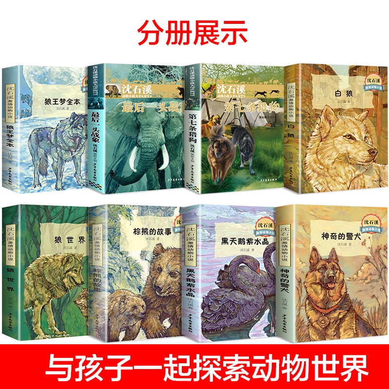沈石溪动物小说全套8册狼王梦最后一头战象第七条猎狗老师推荐完整版无删减六年级必读课外书儿童文学书籍