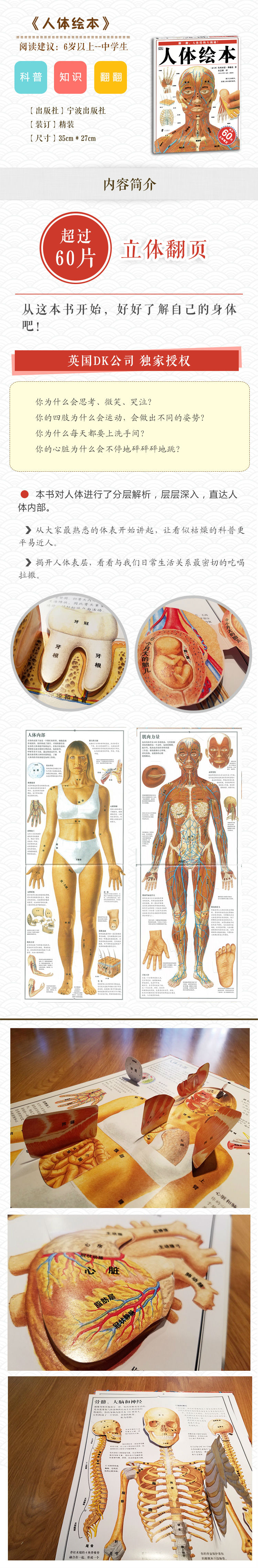 身体各部位分别叫做什么?各个部位分别有什么作用,是怎样配合工作的?
