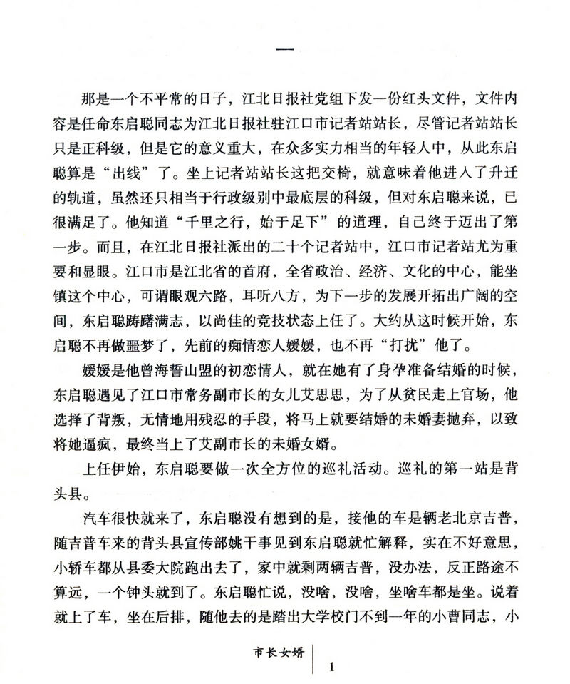 市长女婿/焦述著官场文化小说人民的名义我主沉浮国家公诉至高利益