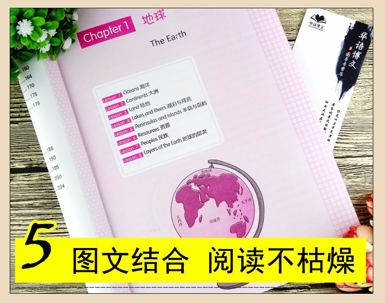 4册 用美国小学地理语文数学自然课本学单词 英汉双语读物小学生英语课外读物 英语单词学习书籍 全4册用美国小学地理语文数学自然课本学单词