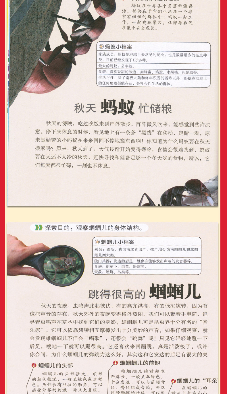 大自然是好的老师4册彩图版 春夏秋冬媲美森林报自然科普 三四五六年级老师推荐小学生10-14岁课外书