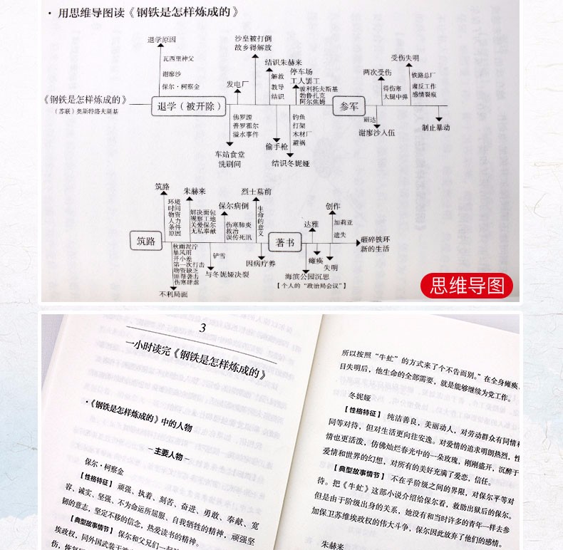 名著考试帮 初八年级下册 只针对名著考点重点轻松拿高分 配套阅读 傅雷家书钢铁是怎样炼成的苏菲的世界