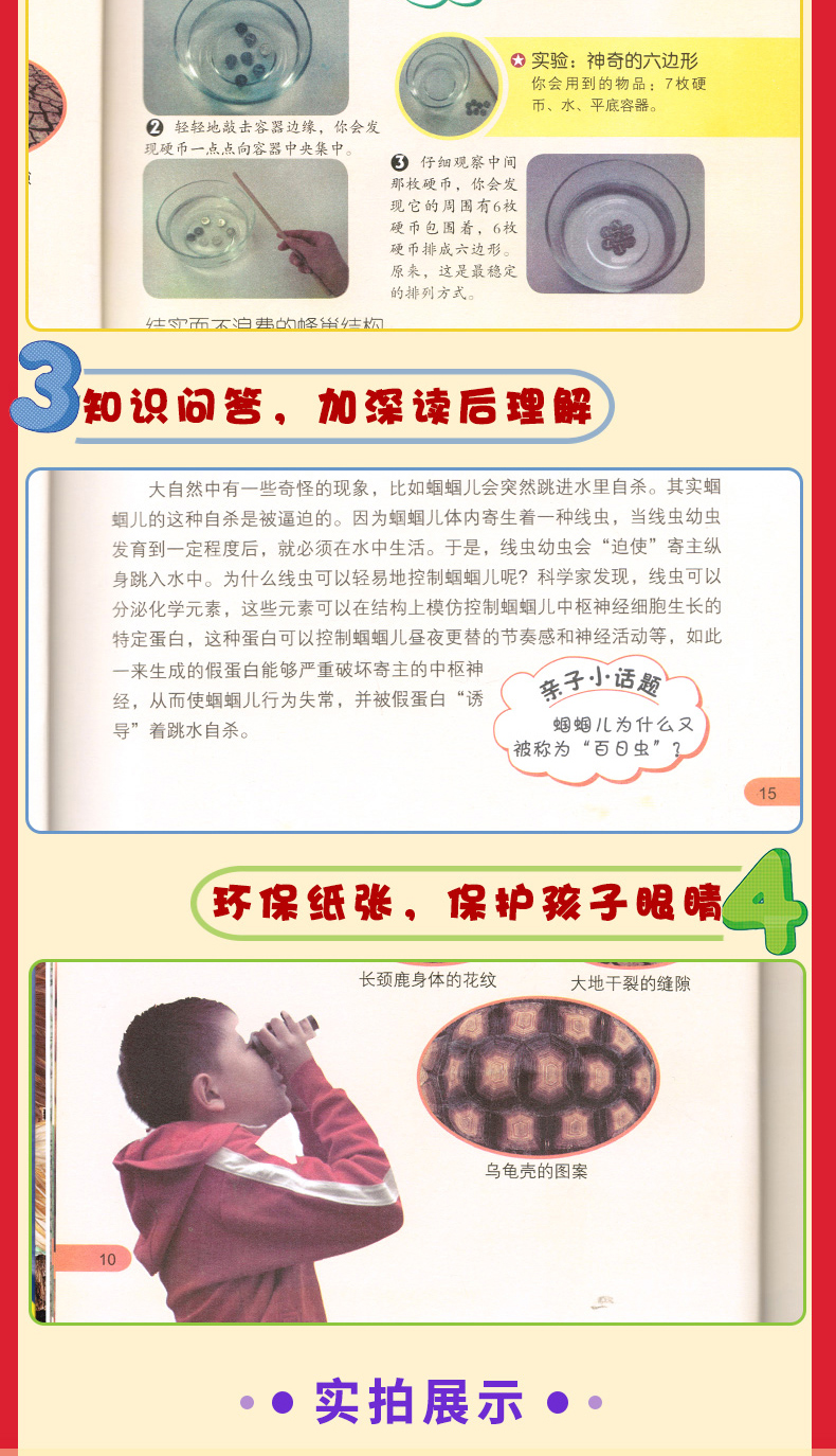 大自然是好的老师4册彩图版 春夏秋冬媲美森林报自然科普 三四五六年级老师推荐小学生10-14岁课外书