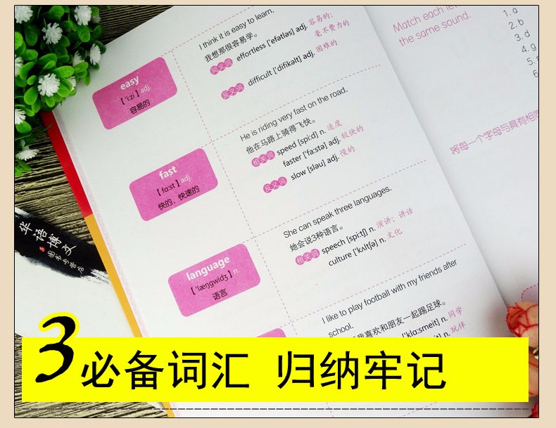 4册 用美国小学地理语文数学自然课本学单词 英汉双语读物小学生英语课外读物 英语单词学习书籍 全4册用美国小学地理语文数学自然课本学单词