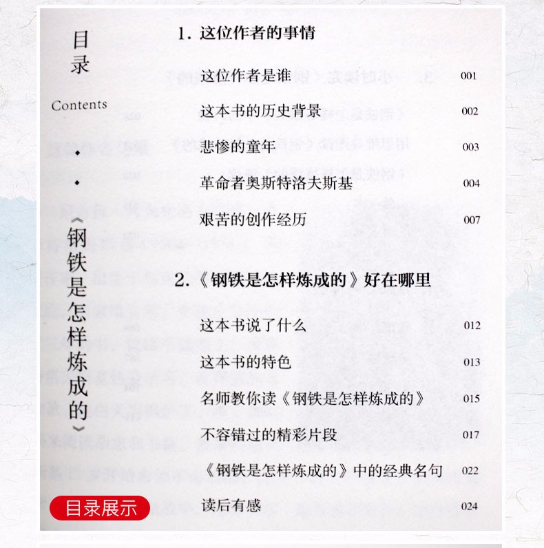 名著考试帮 初八年级下册 只针对名著考点重点轻松拿高分 配套阅读 傅雷家书钢铁是怎样炼成的苏菲的世界