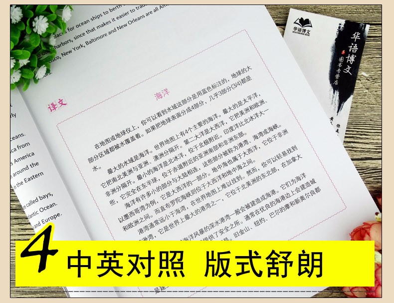 4册 用美国小学地理语文数学自然课本学单词 英汉双语读物小学生英语课外读物 英语单词学习书籍 全4册用美国小学地理语文数学自然课本学单词