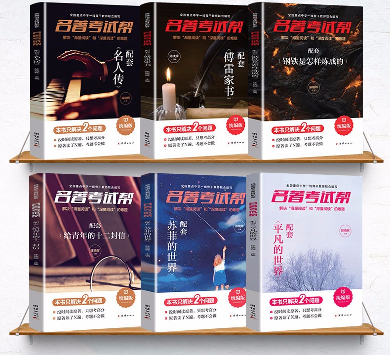 名著考试帮 初八年级下册 只针对名著考点重点轻松拿高分 配套阅读 傅雷家书钢铁是怎样炼成的苏菲的世界