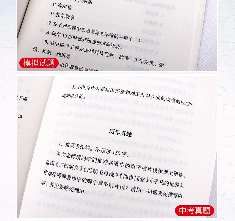 名著考试帮 初八年级下册 只针对名著考点重点轻松拿高分 配套阅读 傅雷家书钢铁是怎样炼成的苏菲的世界