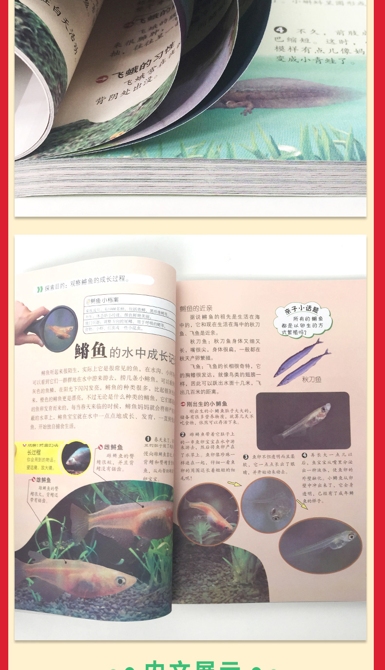 大自然是好的老师4册彩图版 春夏秋冬媲美森林报自然科普 三四五六年级老师推荐小学生10-14岁课外书