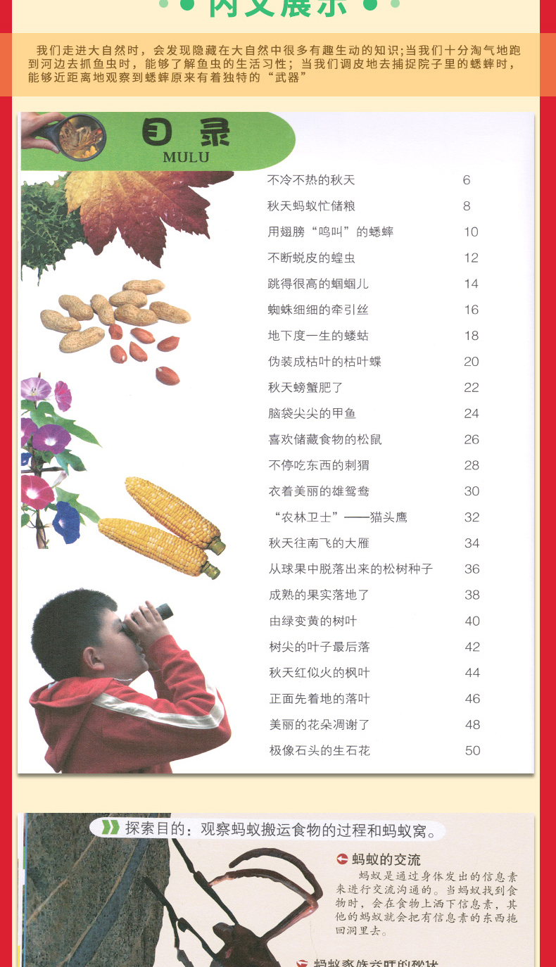 大自然是好的老师4册彩图版 春夏秋冬媲美森林报自然科普 三四五六年级老师推荐小学生10-14岁课外书