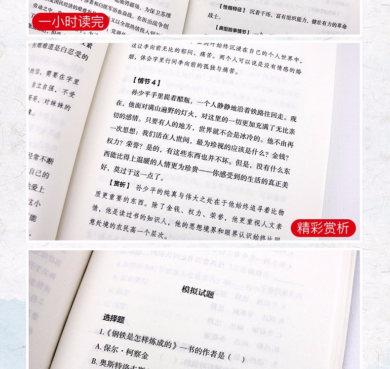 名著考试帮 初八年级下册 只针对名著考点重点轻松拿高分 配套阅读 傅雷家书钢铁是怎样炼成的苏菲的世界